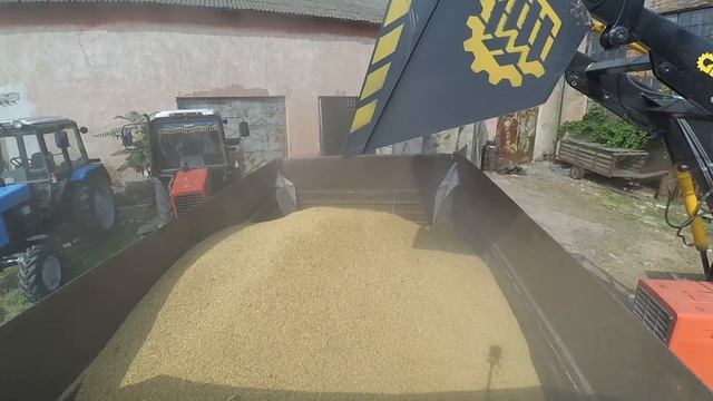 Продаю Ячмень! Цена копеешная!