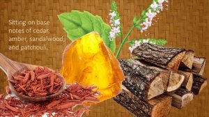 Teakwood and Cardamom Fragrance Oil- Natures Garden