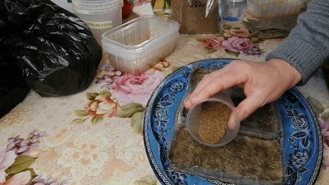 ?????МИКРОЗЕЛЕНЬ РУККОЛЫ. КАК ВЫРАСТИТЬ. ПОЛЕЗНЫЕ СВОЙСТВА