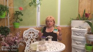 Огурцы - проращивание семян быстро! Стерильно! 100% всхожесть!