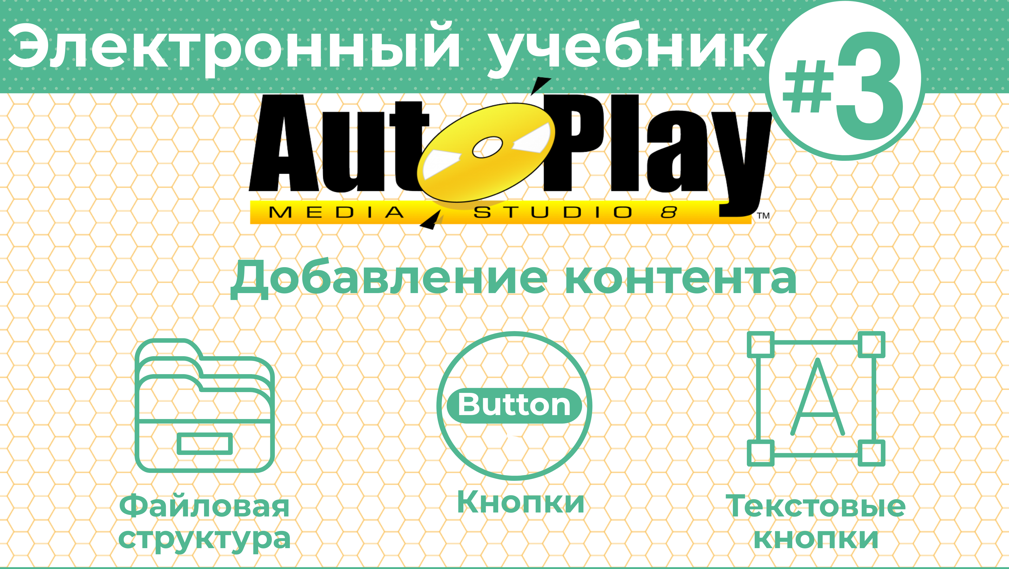 Как создать электронный учебник с AutoPlay Media Studio #3