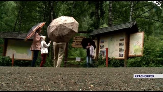 Туристы не боятся медведей и массово идут гулять на «Столбы» смотреть онлайн