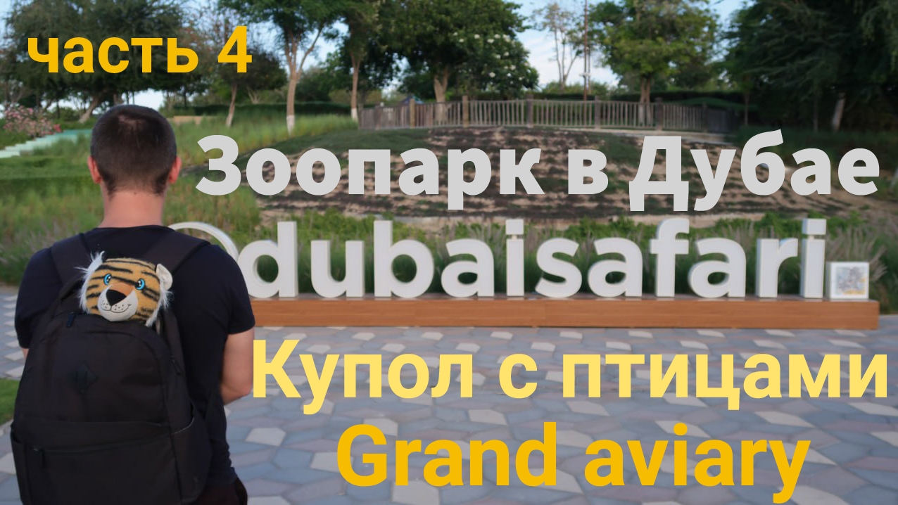 Зоопарк в Дубае. Часть 4. Вольер с птицами Grand aviary. Dubai Safari Park