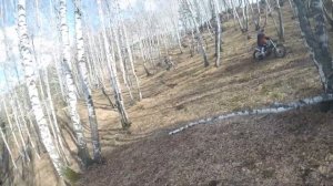 стук в мотре 177 авантис 300 про