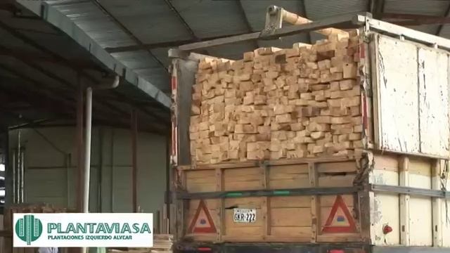 BALSA WOOD - INMAIA 2012 -.mp4 смотреть онлайн