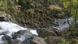 Дорога на водопад Неожиданный