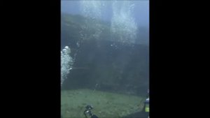 与那国島 海底遺跡 ダイビング