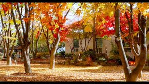 Уран в шестом доме