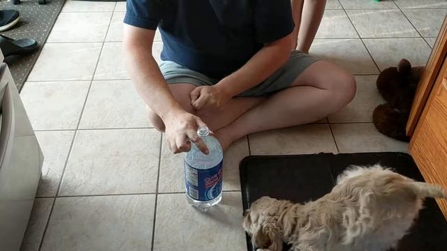 Perl vs. Club Soda смотреть онлайн