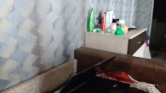 Кошкин Дом Алисы и кота Алекса's broadcast смотреть онлайн