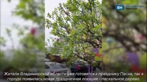 Во Владимире нашли пасхальное дерево