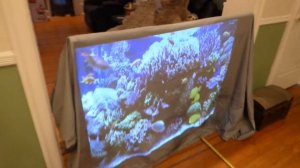 SPECIAL DEAL! VIEWSONIC PJD7720HD 1080P PROJECTOR WITH FREE LUMINOUS SCREEN SIZE AND COLOR SOLD!