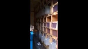 отзывы о пчелопавильонах Берендей