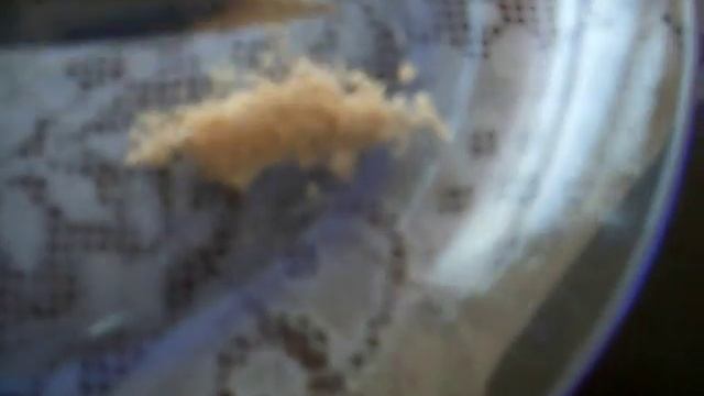 CARIMBO de AMANITA MUSCARIA смотреть онлайн