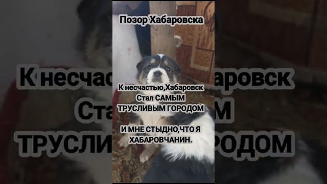 4 февраля 2024 г. смотреть онлайн