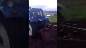 Картофель ,, Cофия"