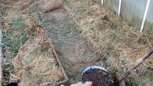ТЕСТИРУЕМ ЗНАМЕНИТОЕ СРЕДСТВО