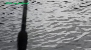 EDim на рыбалке! #48 Отчёт с трех подмосковных водоёмов.