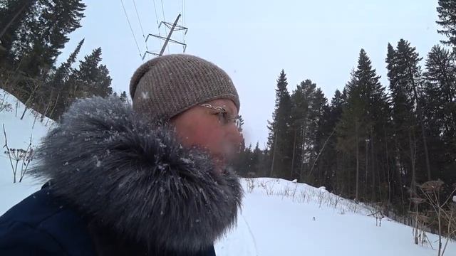 Прогулялись по снежным полям в лес. смотреть онлайн