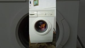 Стиральная машина Bosch