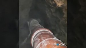 НОЕВ КОВЧЕГ/Раскопки продолжаются/1/