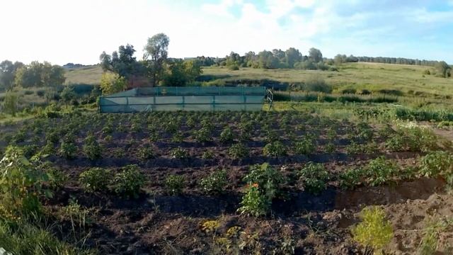 Бассейн. Три этапа очистки воды. смотреть онлайн