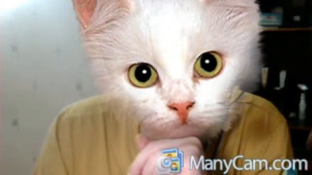 Видео с веб-камеры. Дата: 15 августа 2012 г., 2:42. смотреть онлайн