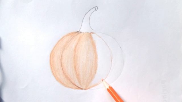 How to Draw Pumpkin Step by Step - মিষ্টি কুমড়া আঁকা смотреть онлайн