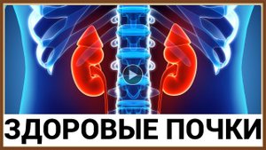 ВРЕД И ПОЛЬЗА ДЛЯ ПОЧЕК.mp4