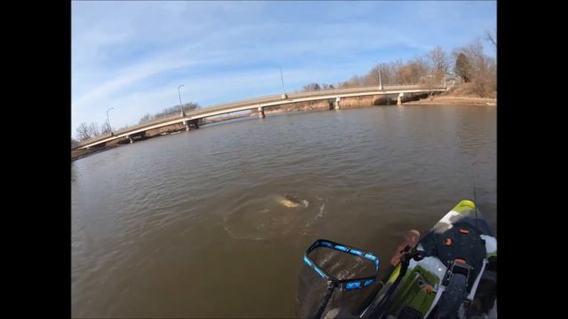Catching a Big Beefy 28" Fish Ohio Steelhead on my New Kayak смотреть онлайн
