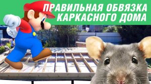 Строительство каркасного дома. Качественная обвязка. МЫШИ и защита от них.