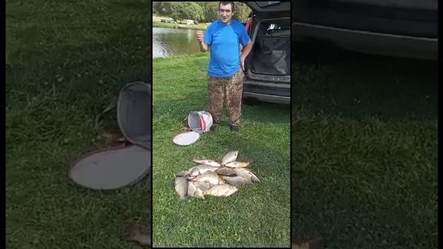 15 августа 2023 г. смотреть онлайн