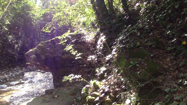 06_10_2018-год_СОЧИ,Лазаревский р_он,каньон реки МАМЕДКИ.mp4 смотреть онлайн