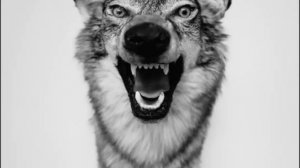 yelawolf - empty bottles
