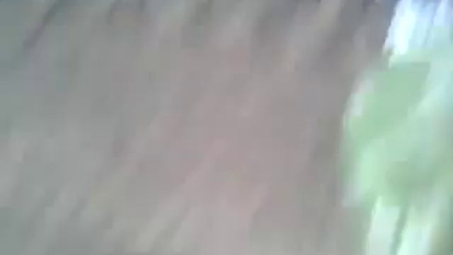 Детёныш ласки!