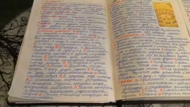 Солнце. Таро 78 дверей. Старшие Арканы