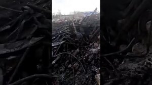 Копаем маталлолом эксковатором HITACHI 200lc, грузим металл/сколько тонн мы накопали за 2дня??