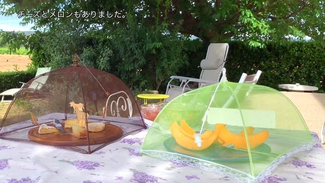 Très jolie Chambre d'hôte en Provence / SAINTE-CÉCILE-LES-VIGNES / Vacances / Vin / смотреть онлайн