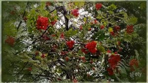 Уже не лето но ещё не осень . Осенний релакс