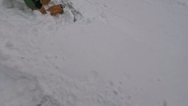 ПЕРМЬ. РОССИЯ. 2023 смотреть онлайн