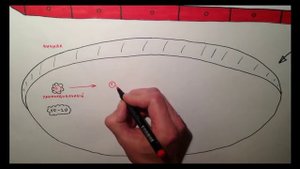 Менструальный цикл 1/2