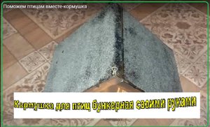 Поможем птицам вместе//кормушка своими руками//Feeder with your own hands