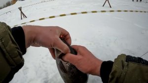 Ловля форели со льда на резину 2023 Безлимит Парус Север.