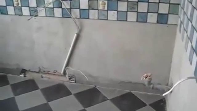 Ремонт кухни "Мега Строй Дом" смотреть онлайн