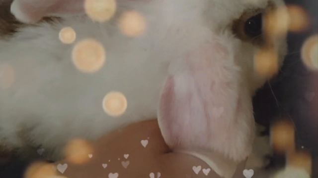 Страна детских снов. Для полноценного детского сна