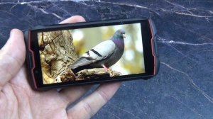 CUBOT KingKong MINI 2 Pro - МАЛЕНЬКИЙ ЗАЩИЩЕННЫЙ СМАРТФОН - 4 дюйма, IP65