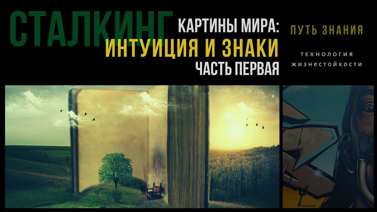 Интуиция и знаки. Часть 1 | СТАЛКИНГ