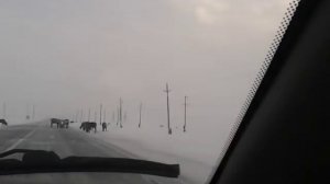 Север дорога Новый Уренгой-Ямбург