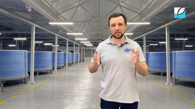 Особенности выращивания осетра в УЗВ. Топ-11 советов для бизнеса.