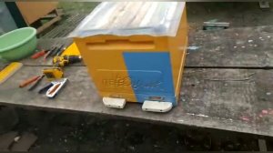 Как делать Отводки#пчеловодство#пасека#изоляцияматок#малыхин#миленин#пчёлы#зимовка2021.